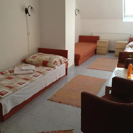 Timon فيتْشيش