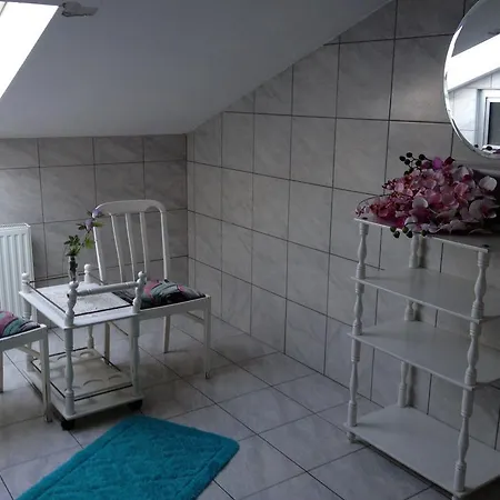 Timon 3* فيتْشيش