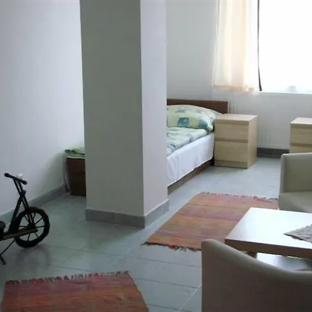 Timon فيتْشيش