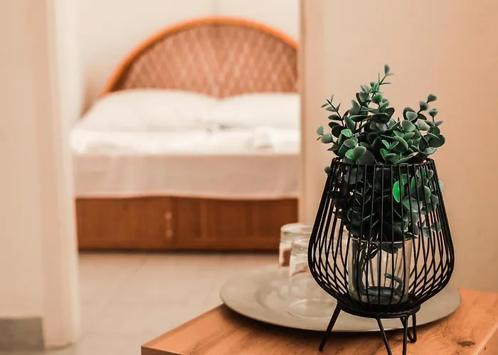 Hotel Timon 3*